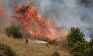 Re: Sizilien - Profit durch Brandstiftung?