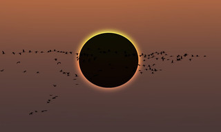 Sonnenfinsternis am Ballermann Live - Das Himmelsspektakel des Jahrzehnts