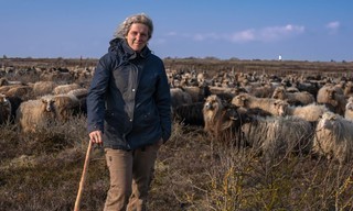 Sylt - Wellen, Wind und Watt