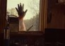 The Spore
