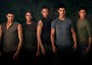 The Twilight Saga: New Moon