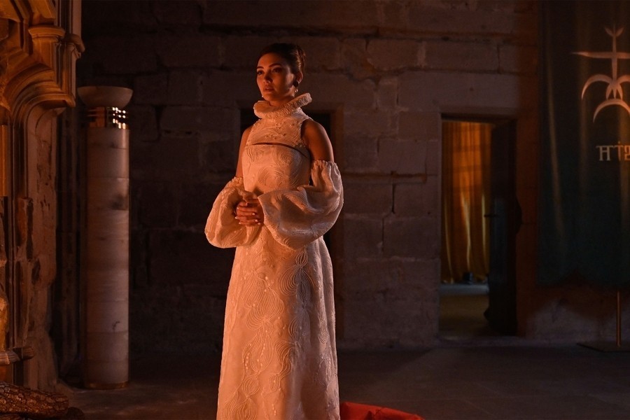 Vampire academy