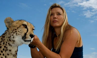 Wild Animal Orphans