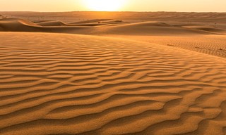 Wildest Middle East