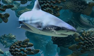 World's Deadliest Sharks