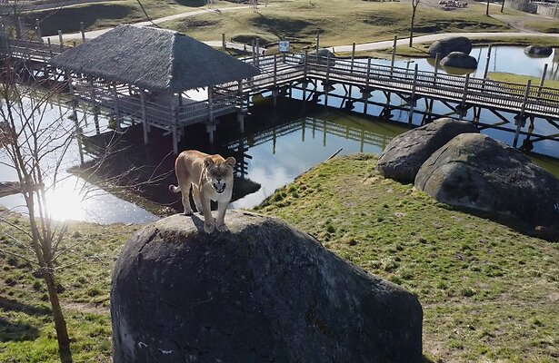 Het Echte Leven in de Dierentuin