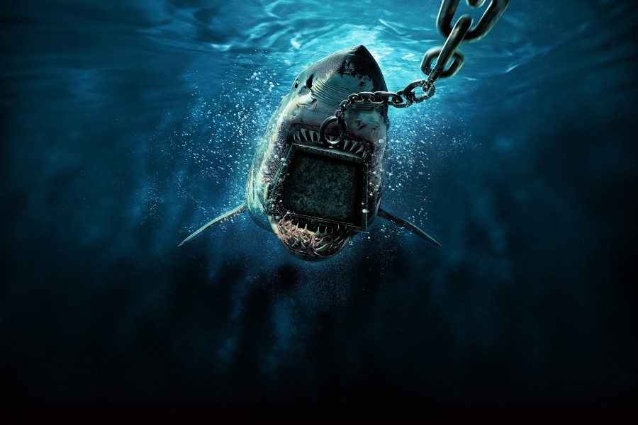 6000-LB. Shark