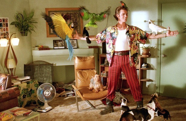 Jim Carrey in Ace Ventura: Pet Detective