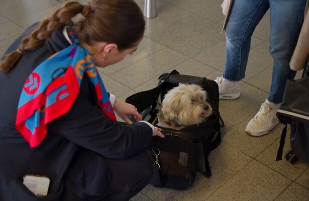 Schiphol Airport