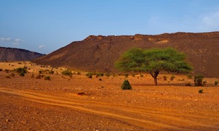 Abenteuer Mauretanien - Zu Fuß durch die Sahara