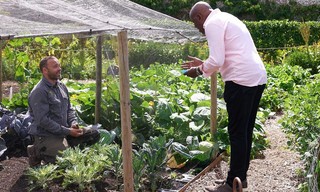 Ainsley's great garden cook off