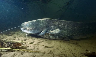 An den Ufern der Lippe
