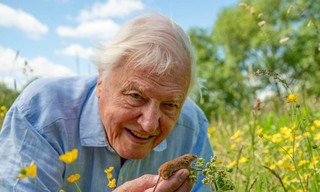Attenborough: Wild London