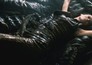 Alien: Resurrection