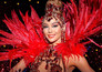 Alles wat je wilt weten over de Moulin Rouge