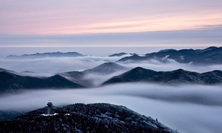 Baishanzu - Chinas unbekanntes Naturjuwel