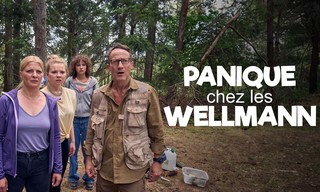 Blackout bei Wellmanns