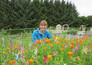 Beechgrove garden