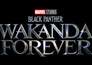 Black Panther: Wakanda Forever