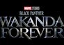 Black Panther: Wakanda Forever