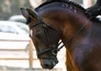 Burghley Horse Trials