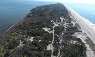 Cherry Grove Stories