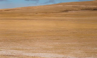 China's wild empire