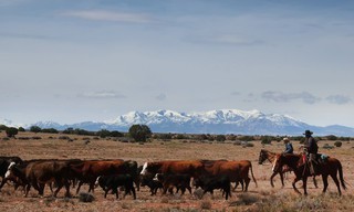 Cowboys und Indianer - Leben am Limit