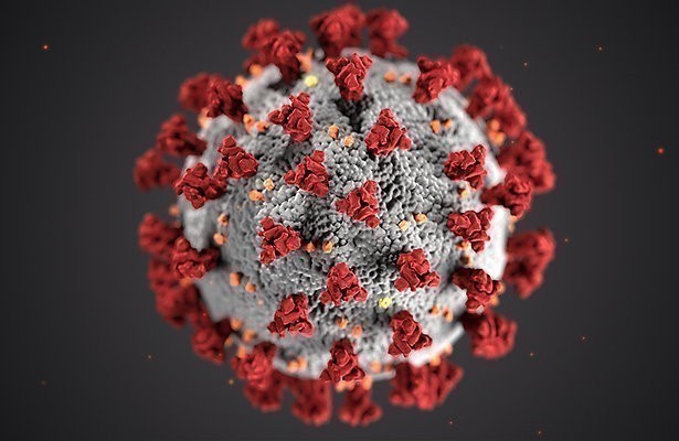 Pointer pakt onzin rond vaccins aan