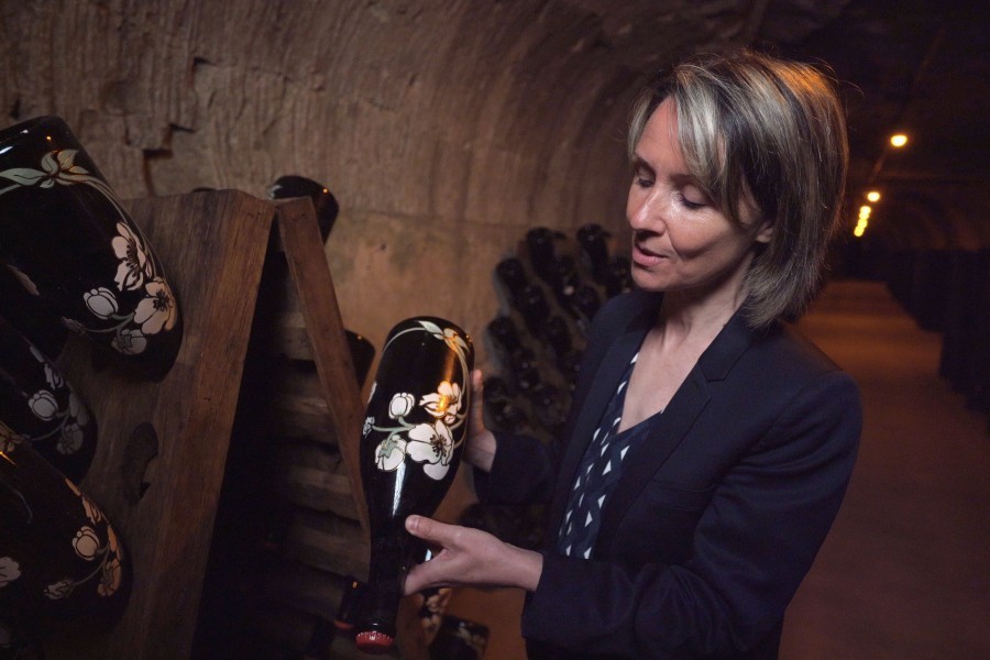 Cellar Stories