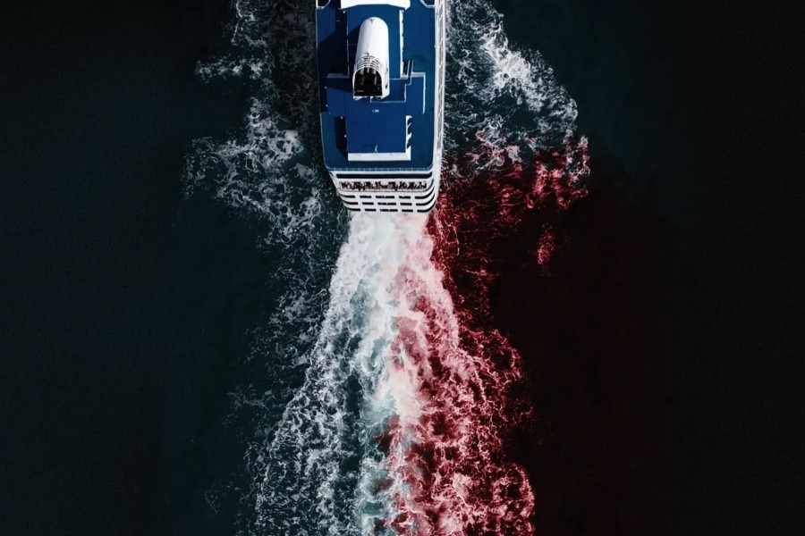 Cruise Ship Killers