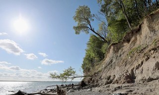Die Lübecker Bucht - Tiere an der Ostseeküste