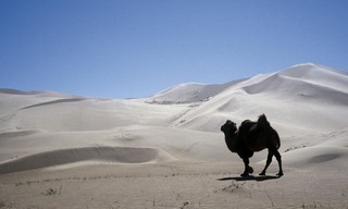 Die Magie der Mongolei