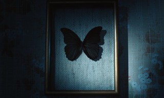Les papillons noirs