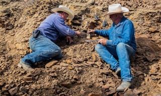 Dino hunters