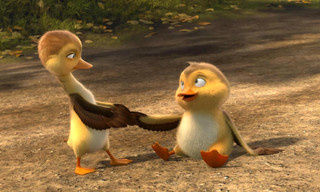 Duck Duck Goose