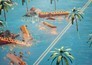 Destruction decoded