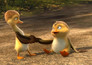Duck Duck Goose