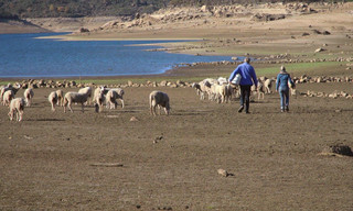 Eviva España
