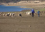 Eviva España