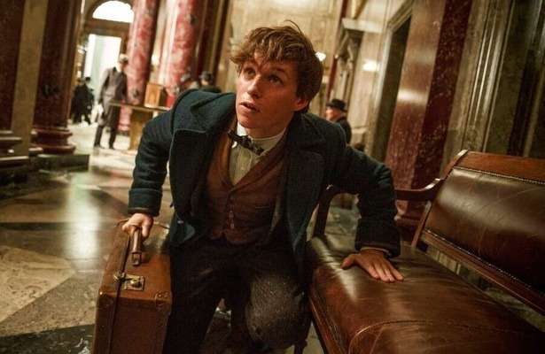 Eddy Redmayne in Fantastic Beasts and Where to Find Them