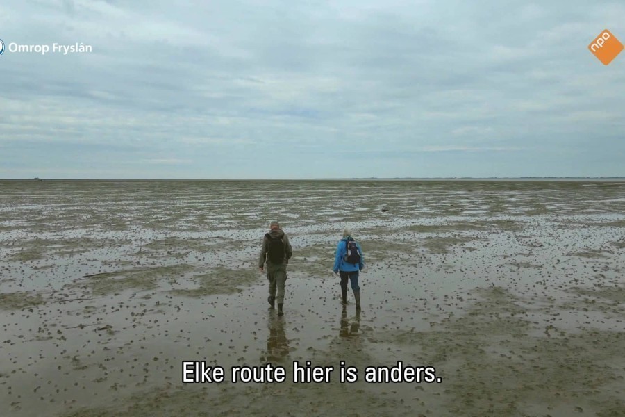 Fryslân DOK