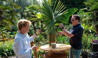 Garten und lecker