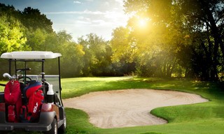 Golf: FedEx St. Jude Championship