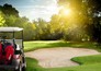 Golf: FedEx St. Jude Championship