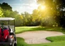Golf: FedEx St. Jude Championship