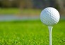 Golf: LPGA Tour - Amundi Evian Championship