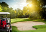 Golf: FedEx St. Jude Championship