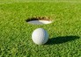Golf: Ladies European Tour