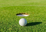 Golf: PGA Championship
